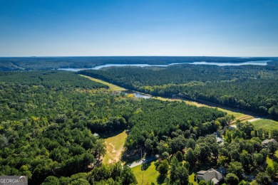 Lake Acreage For Sale in Elberton, Georgia