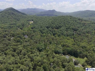 3.42 +/- Acres located in The Cliffs Valley in Travelers Rest SC - photo 1