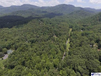 3.42 +/- Acres located in The Cliffs Valley in Travelers Rest SC - photo 2