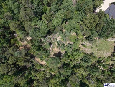 3.42 +/- Acres located in The Cliffs Valley in Travelers Rest SC - photo 4
