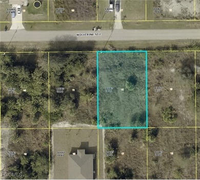 Lehigh Acres Area Lot For Sale in Lehigh Acres Florida