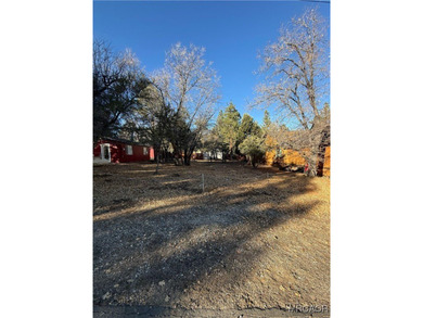 Beautiful level lot just yards away from National forest hiking - photo 3