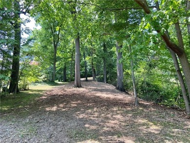 Discover a rare opportunity to build your dream home on this - photo 3