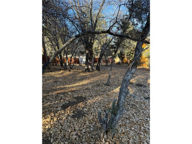Beautiful level lot just yards away from National forest hiking - photo 4