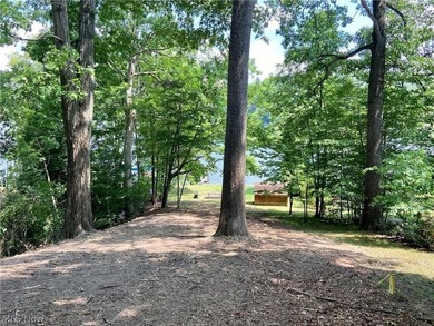 Discover a rare opportunity to build your dream home on this - photo 4