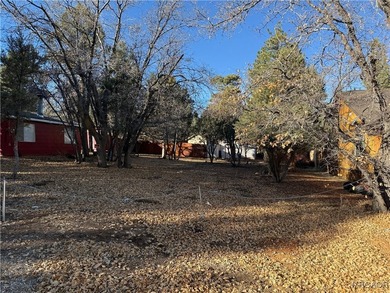 Beautiful level lot just yards away from National forest hiking - photo 5