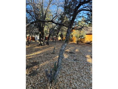 Beautiful level lot just yards away from National forest hiking - photo 7