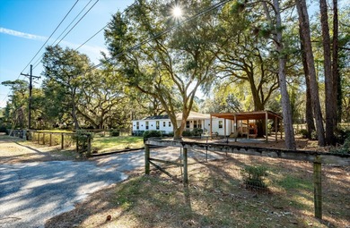 (private lake, pond, coastal) Home For Sale in Hollywood South Carolina