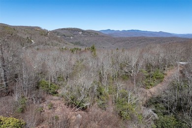 Lake Toxaway Lot For Sale in Lake Toxaway North Carolina