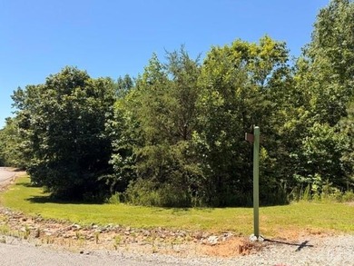 Nestled within the private, gated Hidden Lake community in Nebo - photo 1