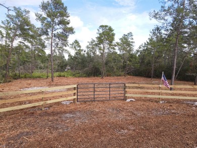 Lake Kathryn - Lake County Lot For Sale in Paisley Florida