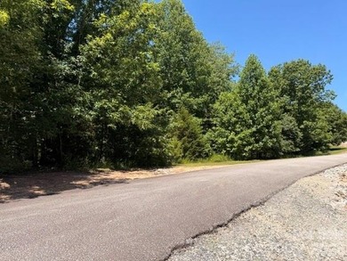 Nestled within the private, gated Hidden Lake community in Nebo - photo 3