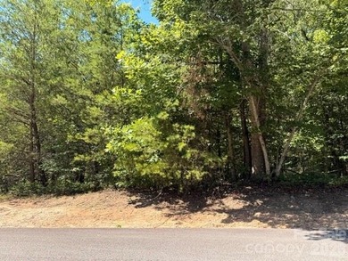 Nestled within the private, gated Hidden Lake community in Nebo - photo 4