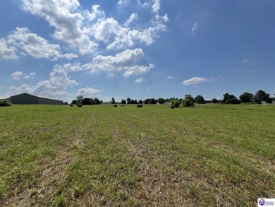 Green River Lake Acreage For Sale in Campbellsville Kentucky