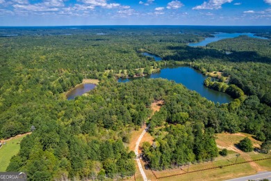 Welcome to Twin Lakes, a waterfowl paradise and premier hunting - photo 3