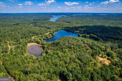Welcome to Twin Lakes, a waterfowl paradise and premier hunting - photo 4