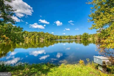 Welcome to Twin Lakes, a waterfowl paradise and premier hunting - photo 10