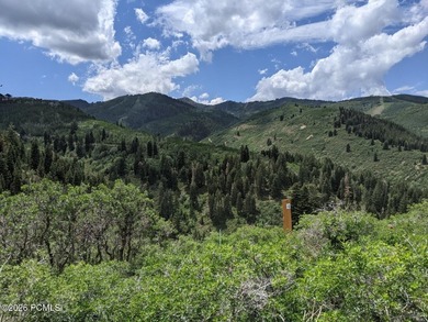 Deer Valley's most exclusive address in STEIN ERIKSEN ESTATES - photo 1