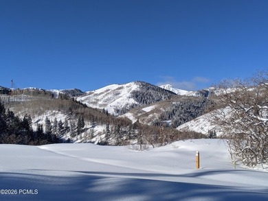 Deer Valley's most exclusive address in STEIN ERIKSEN ESTATES - photo 2