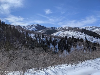 Deer Valley's most exclusive address in STEIN ERIKSEN ESTATES - photo 3