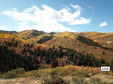 Deer Valley's most exclusive address in STEIN ERIKSEN ESTATES - photo 4