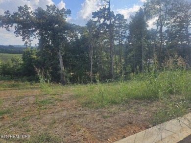 Lake Lot For Sale in Morristown, Tennessee