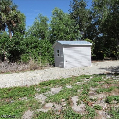 Vacant lot, cleared, Bamboo, Java Plum and a few other trees & - photo 11