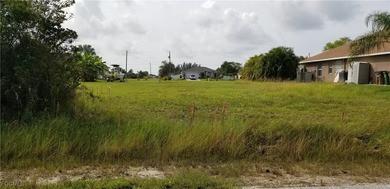 Nearly cleared lot in a nice, established neighborhood near - photo 3