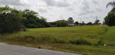 Nearly cleared lot in a nice, established neighborhood near - photo 4