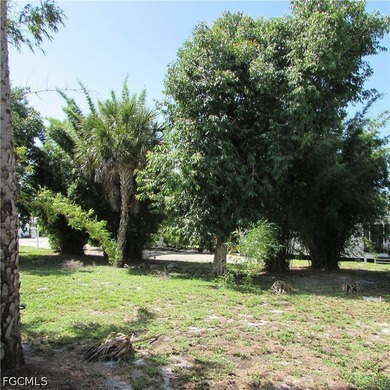 Vacant lot, cleared, Bamboo, Java Plum and a few other trees & - photo 14