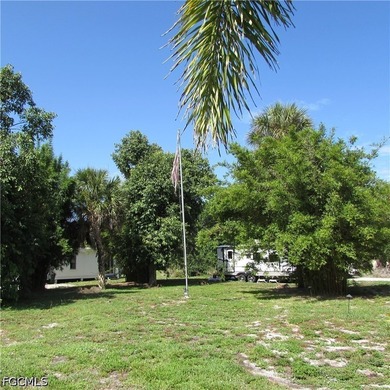 Vacant lot, cleared, Bamboo, Java Plum and a few other trees & - photo 15