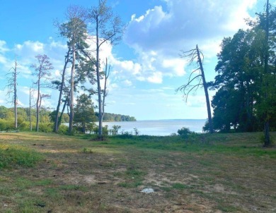 Toledo Bend Reservoir Lot For Sale in Converse Louisiana