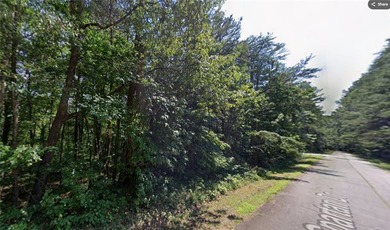 Lake Hartwell Lot For Sale in Westminster South Carolina