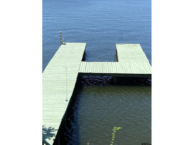 Deep-Water on Lake Palestine | Shadybrook Gated Community - photo 2