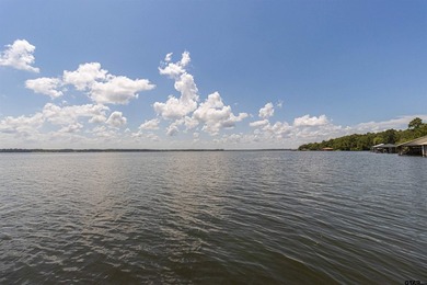 Deep-Water on Lake Palestine | Shadybrook Gated Community - photo 4