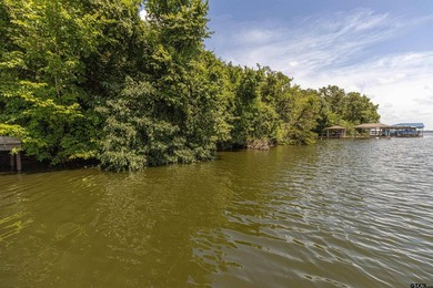 Deep-Water on Lake Palestine | Shadybrook Gated Community - photo 5