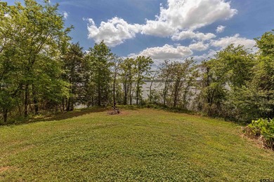 Deep-Water on Lake Palestine | Shadybrook Gated Community - photo 8