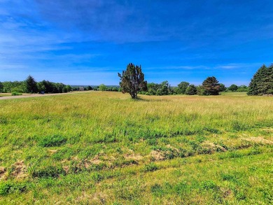 Build your dream home on this beautiful 2.96 acre lot with - photo 2