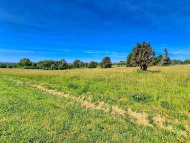 Build your dream home on this beautiful 2.96 acre lot with - photo 3
