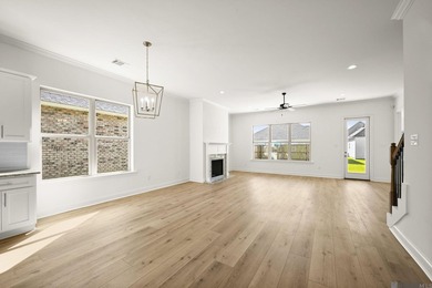 New build in St George between Bluebonnet and UClub! 5 bedrooms - photo 37