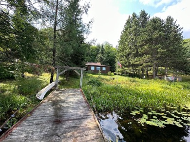 Thousand Island Lake Home Sale Pending in Watersmeet Michigan