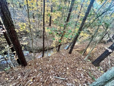 Lake Acreage For Sale in Milam, Texas