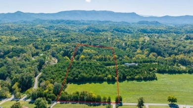 Lake Acreage For Sale in Dandridge, Tennessee