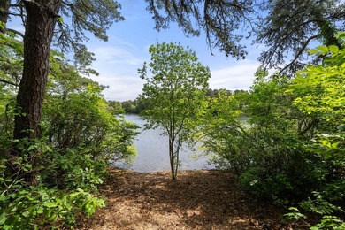 Welcome to Riverbay Estates, where Cape Cod charm meets endless - photo 2