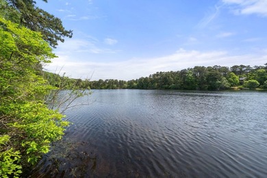 Welcome to Riverbay Estates, where Cape Cod charm meets endless - photo 3