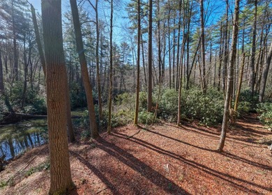 If you have ever wanted to own your own private river front lot - photo 2