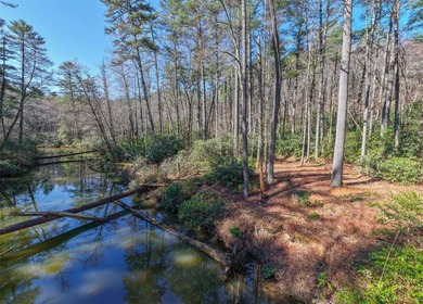 If you have ever wanted to own your own private river front lot - photo 3