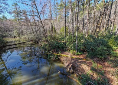 If you have ever wanted to own your own private river front lot - photo 4