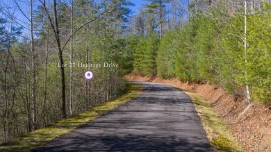 If you have ever wanted to own your own private river front lot - photo 5
