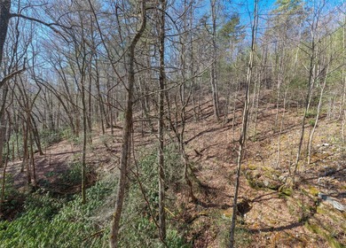 If you have ever wanted to own your own private river front lot - photo 6
